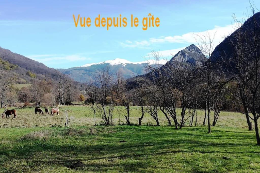 Grange En Pierres. Grand Jardin Et Belle Vue Villa Saurat Exterior foto