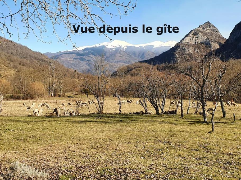 Grange En Pierres. Grand Jardin Et Belle Vue Villa Saurat Exterior foto